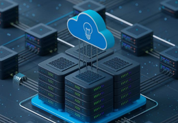 IT Services 